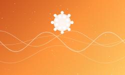 Featured image of post 站点与博客自托管：WordPress / WVP 视频监控 / Hoppscotch API 工具
